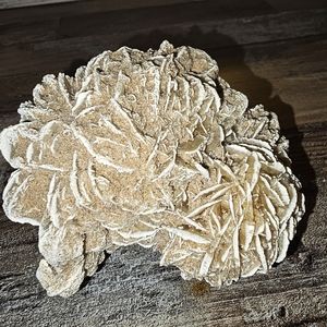 Desert Rose Selenite Cluster 3.8"-Mexico